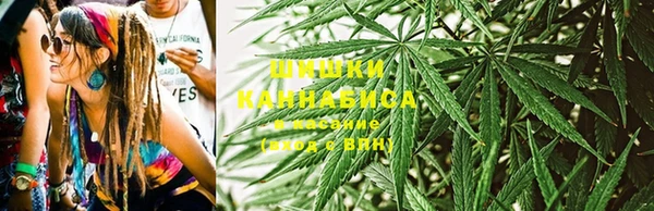 дурь Вяземский
