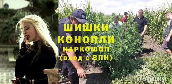 дурь Вяземский